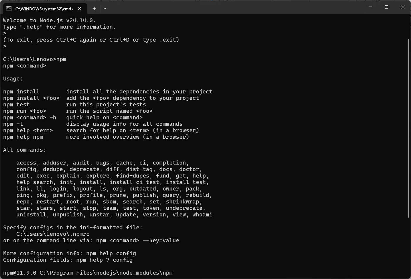 cmd 中输入 npm 验证